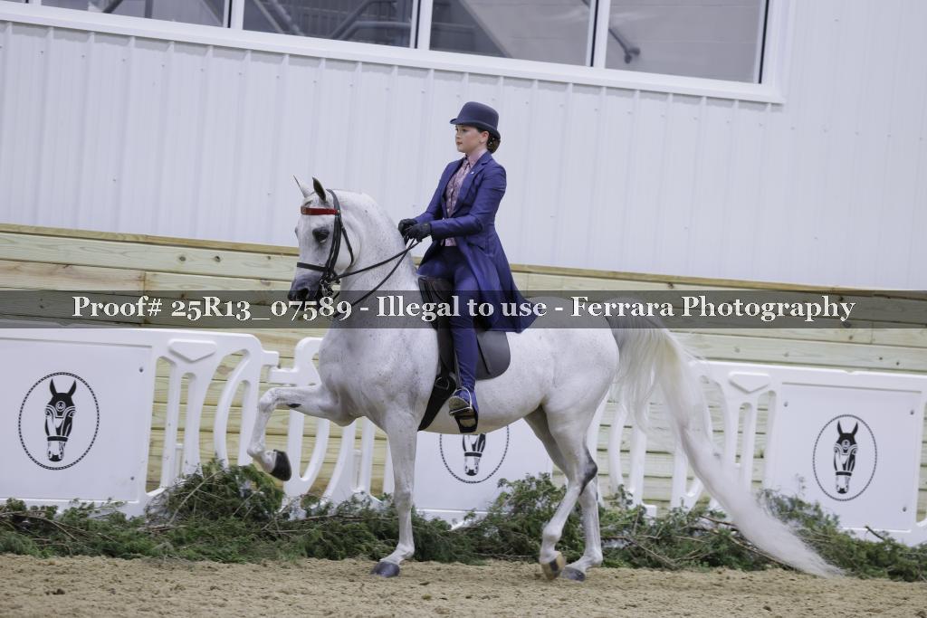 Proof 25R13_07589