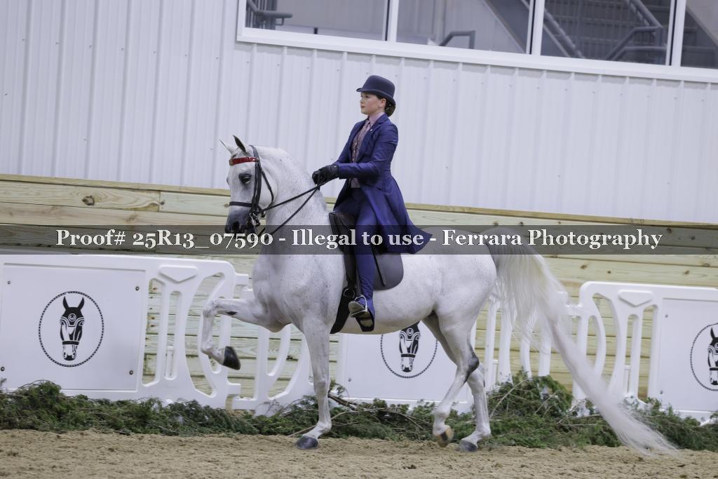 Proof 25R13_07590