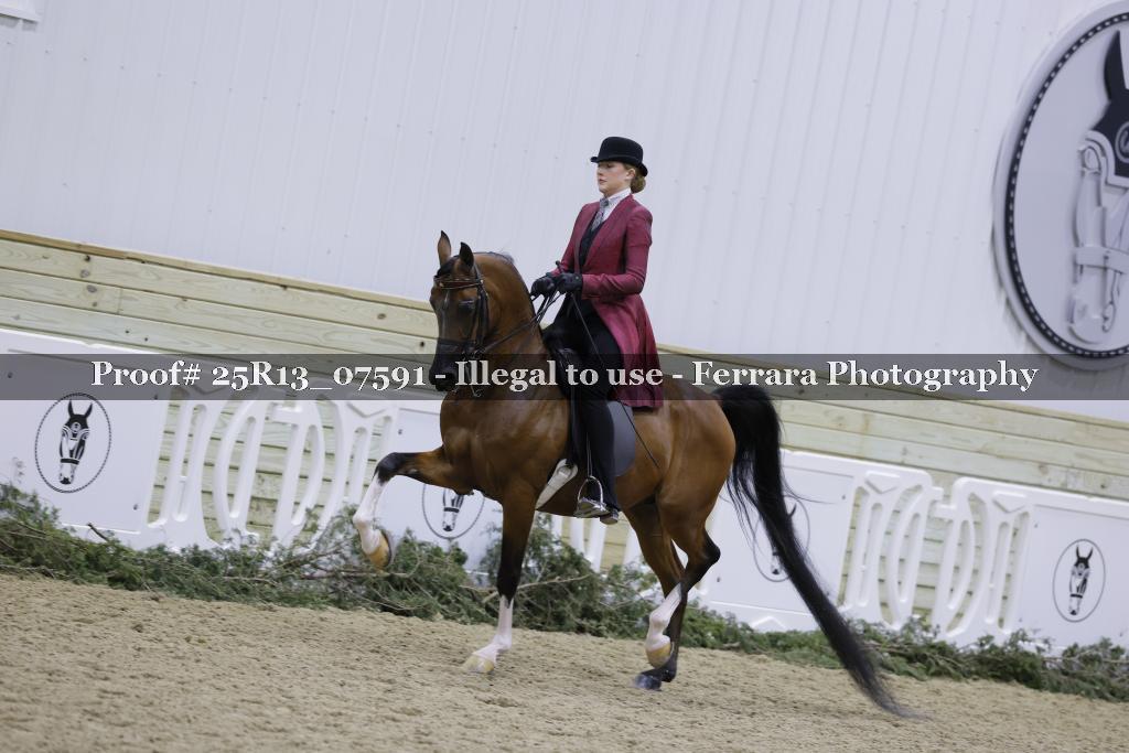 Proof 25R13_07591
