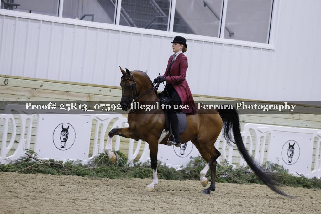 Proof 25R13_07592