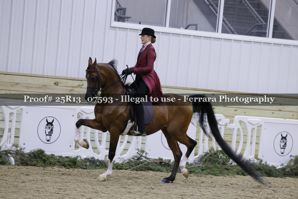 Proof 25R13_07593