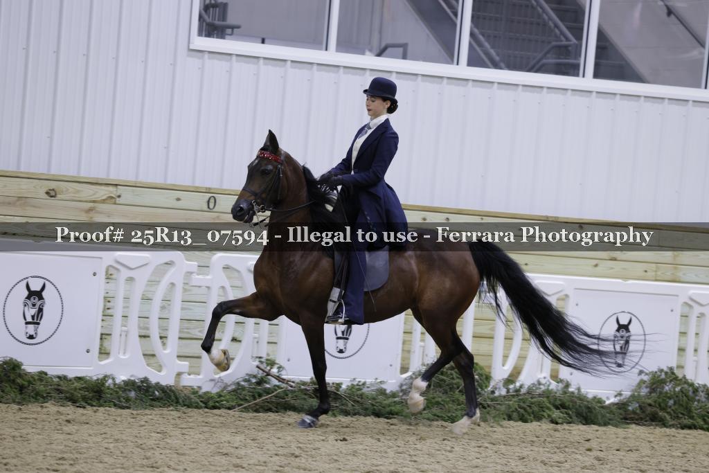 Proof 25R13_07594