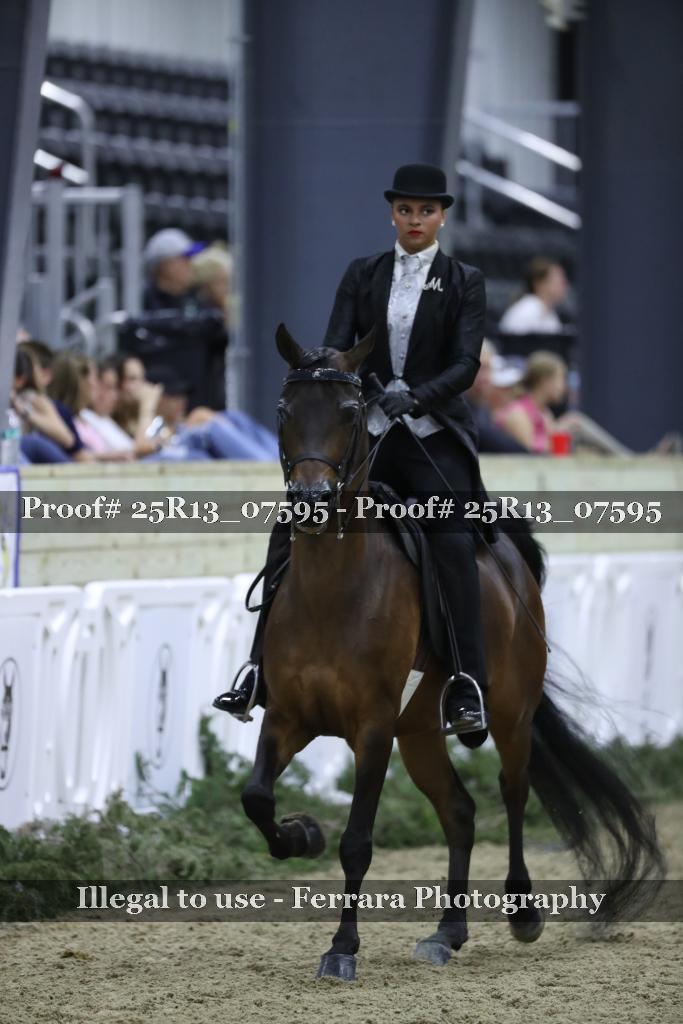 Proof 25R13_07595