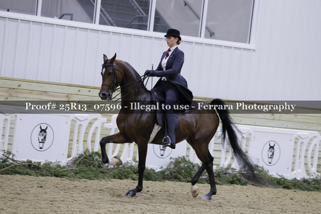 Proof 25R13_07596