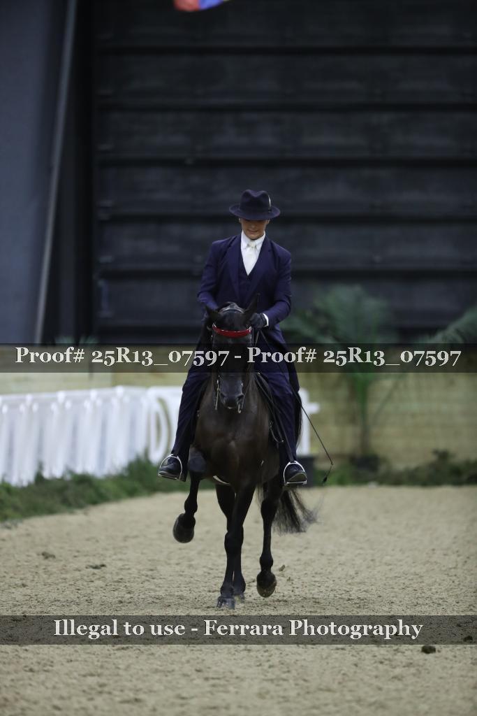 Proof 25R13_07597