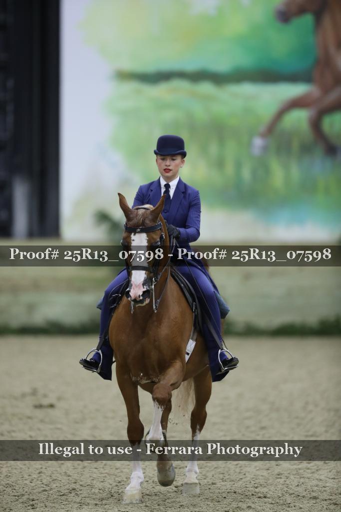 Proof 25R13_07598