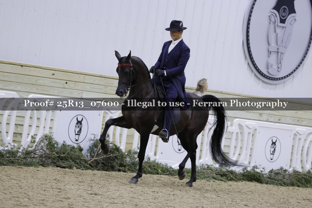 Proof 25R13_07600