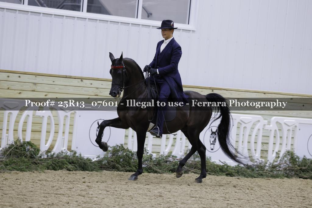 Proof 25R13_07601
