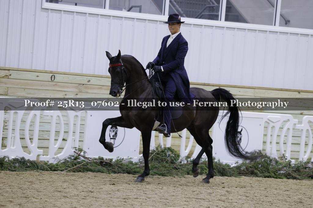 Proof 25R13_07602