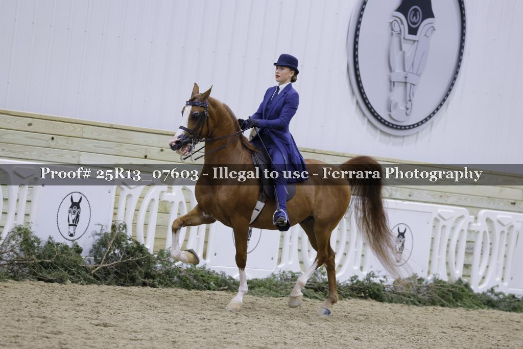 Proof 25R13_07603