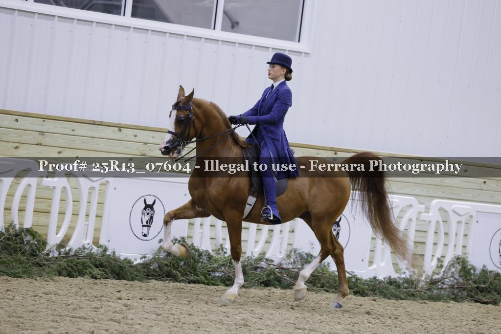 Proof 25R13_07604
