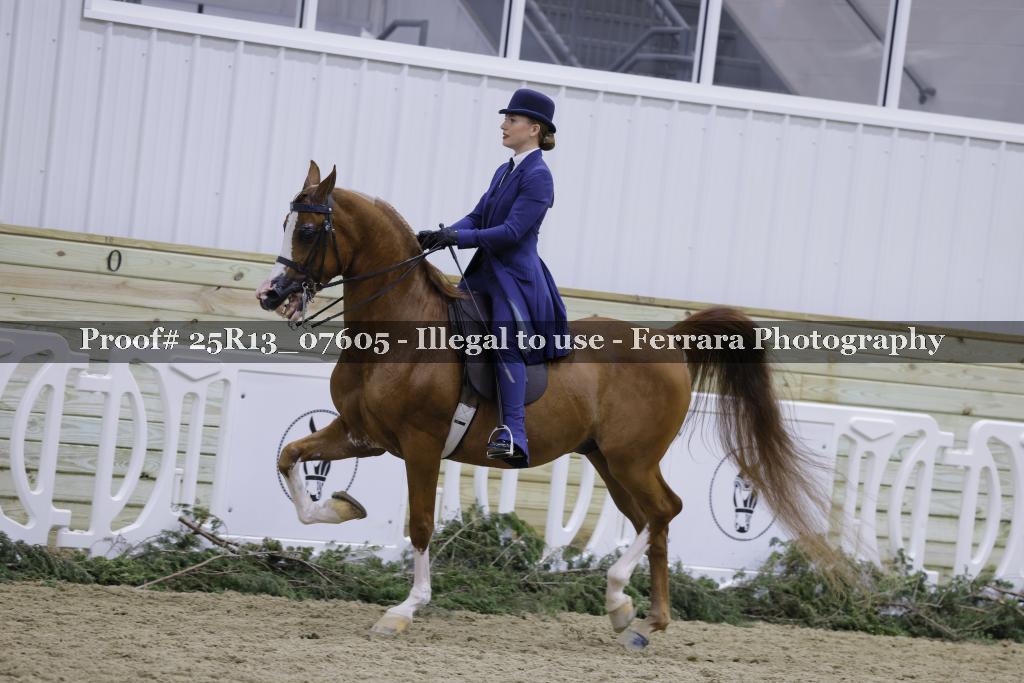 Proof 25R13_07605