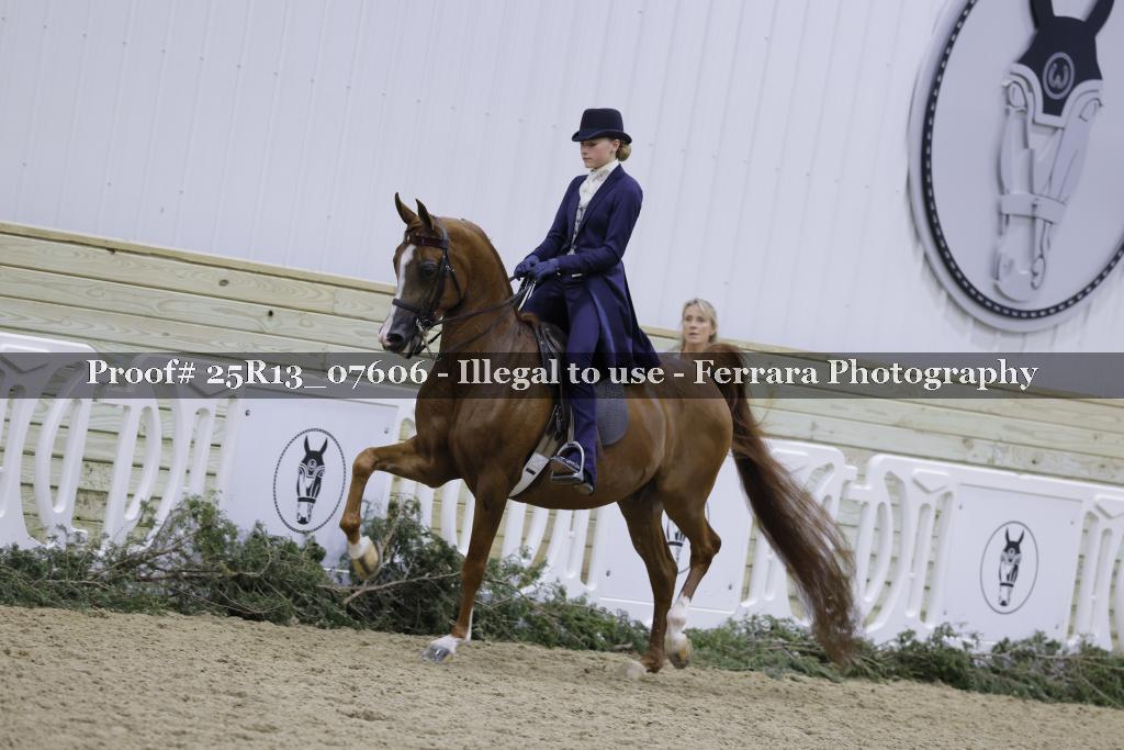 Proof 25R13_07606