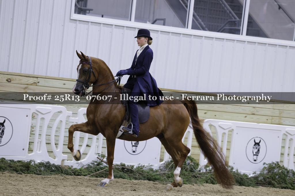 Proof 25R13_07607