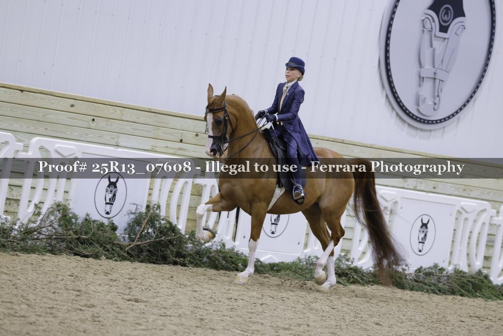 Proof 25R13_07608