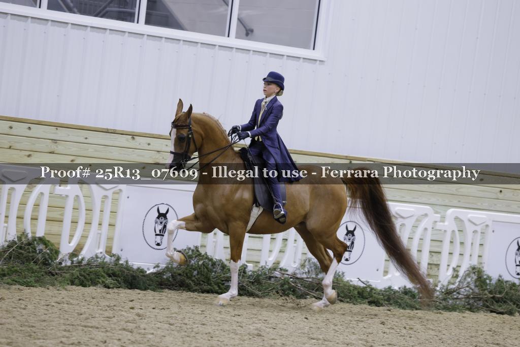 Proof 25R13_07609