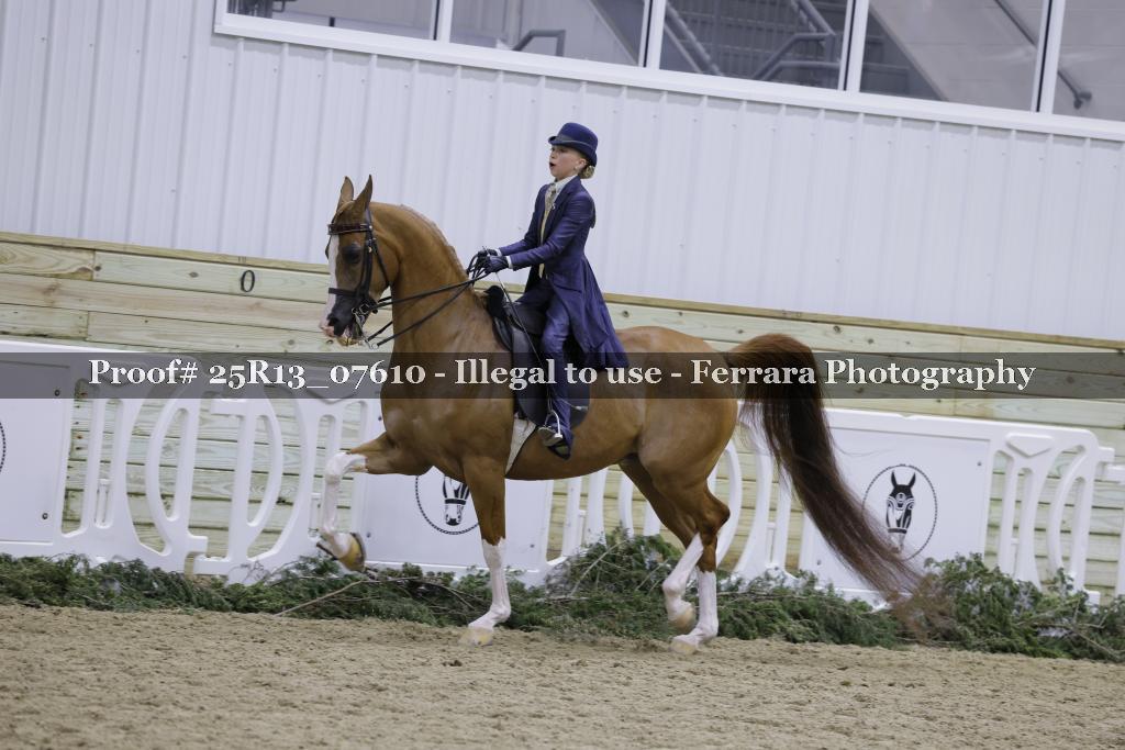 Proof 25R13_07610