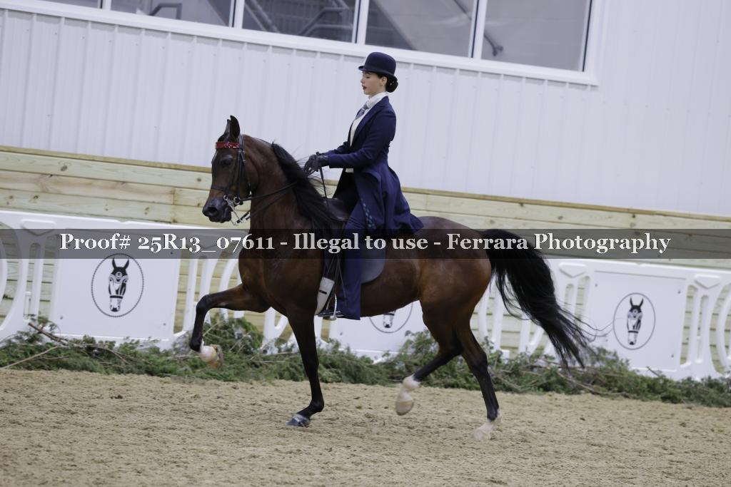 Proof 25R13_07611