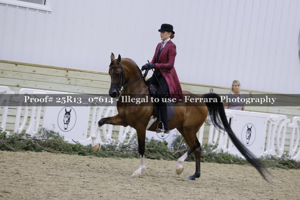 Proof 25R13_07614