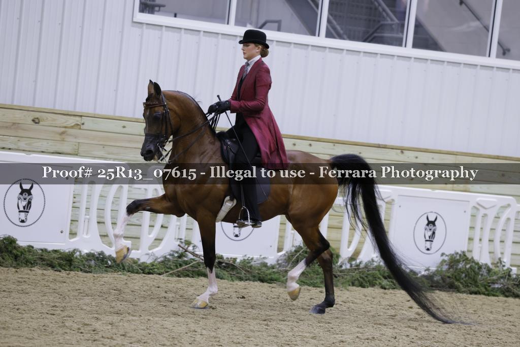Proof 25R13_07615