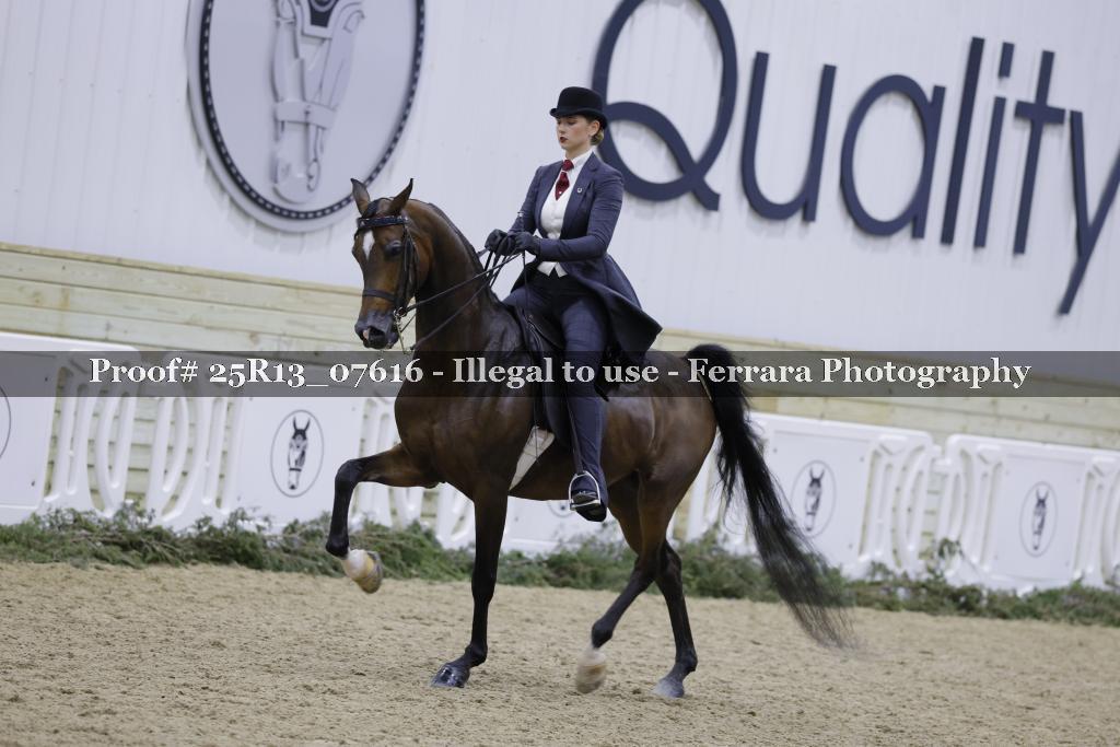 Proof 25R13_07616