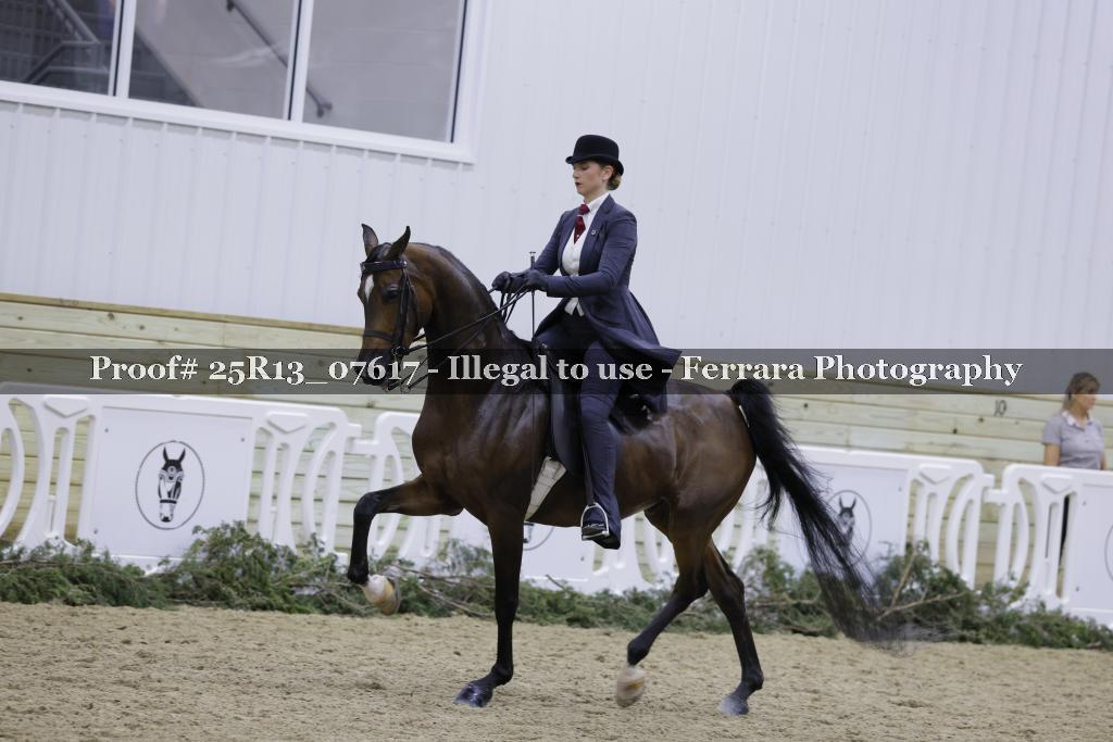 Proof 25R13_07617