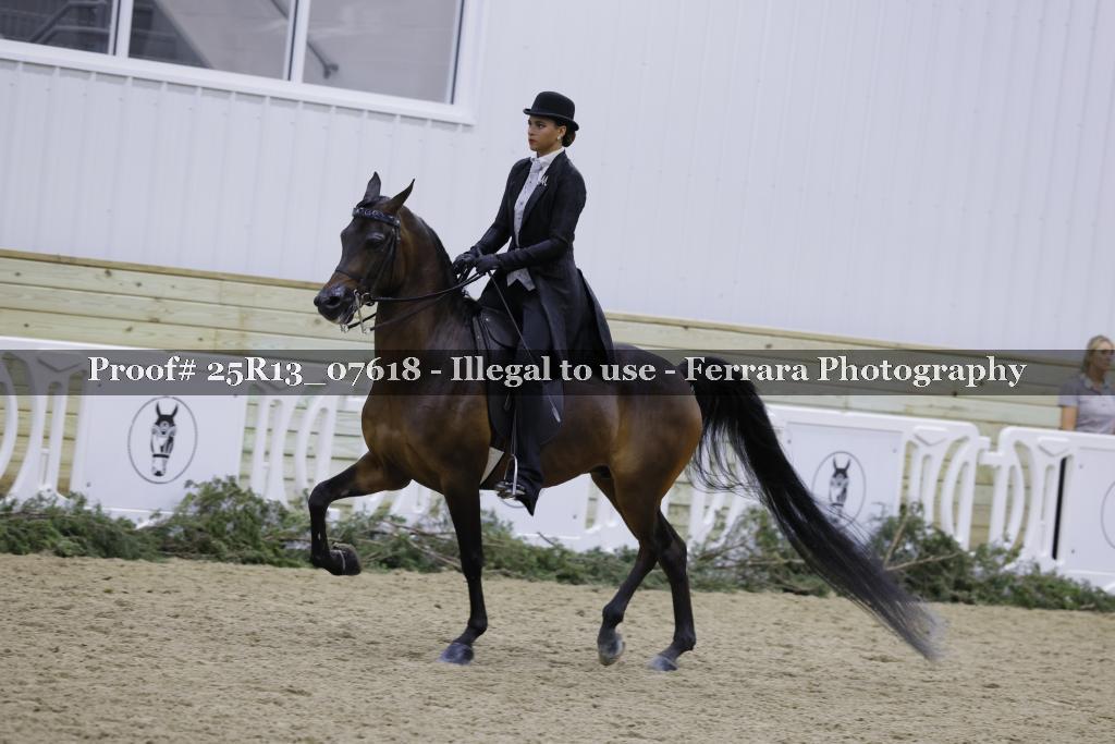 Proof 25R13_07618