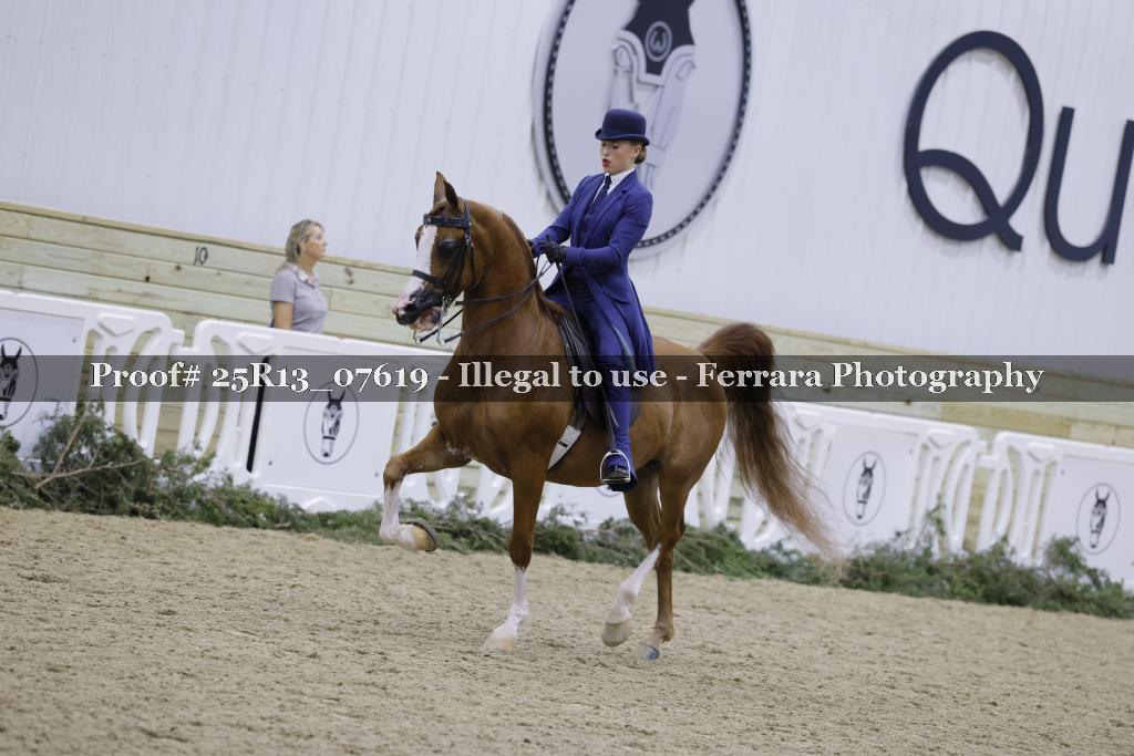 Proof 25R13_07619