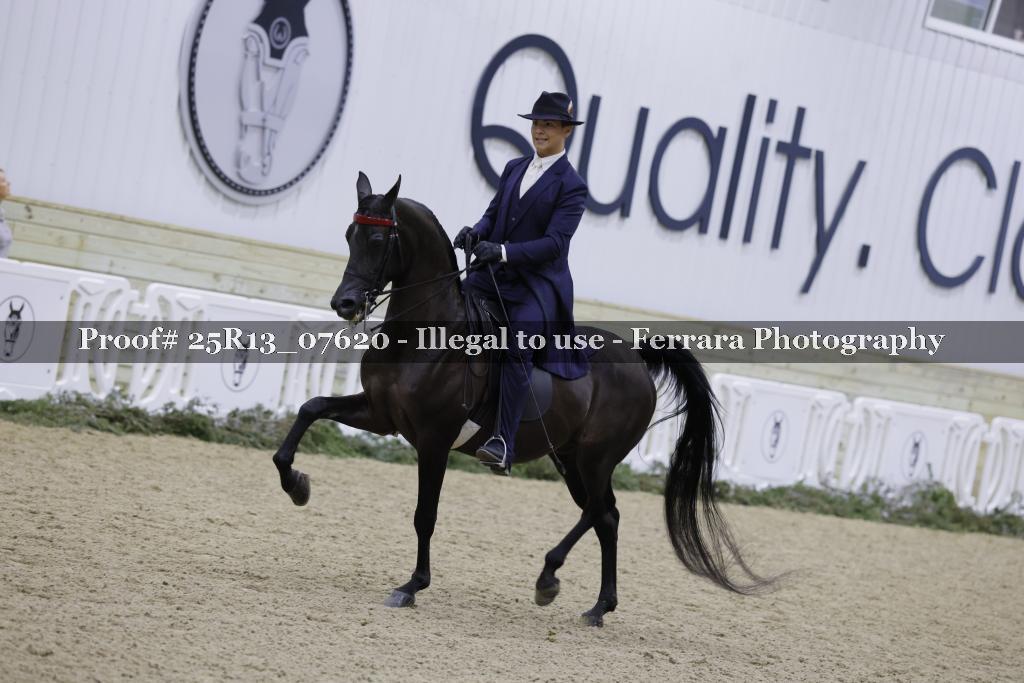 Proof 25R13_07620