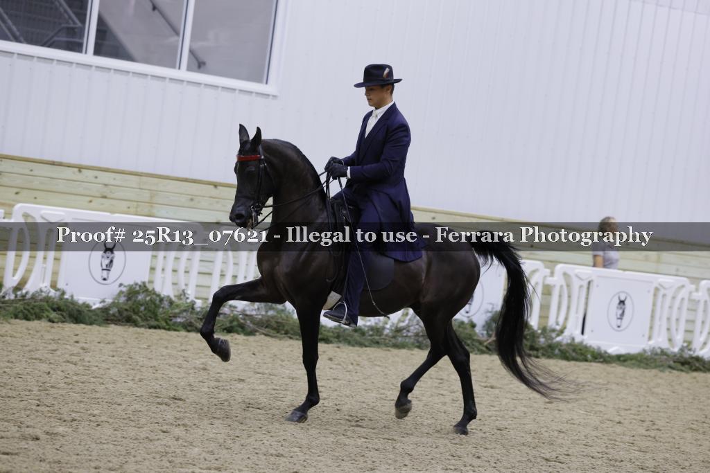 Proof 25R13_07621
