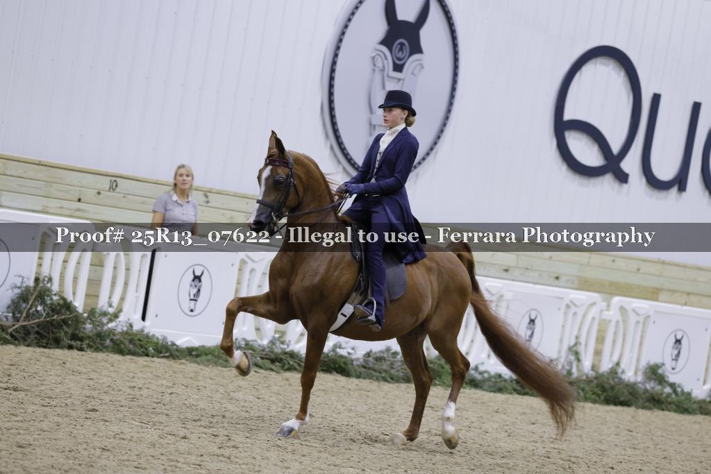 Proof 25R13_07622