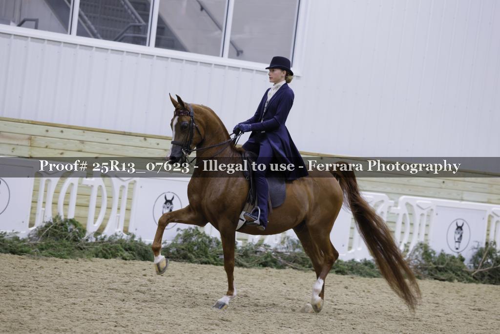 Proof 25R13_07623