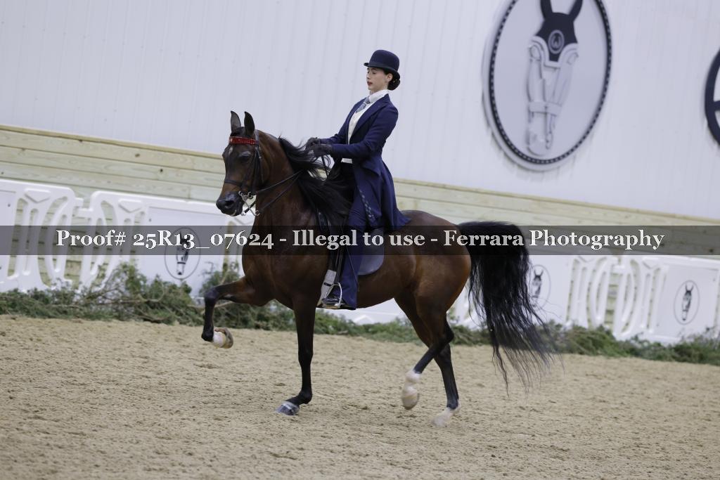 Proof 25R13_07624