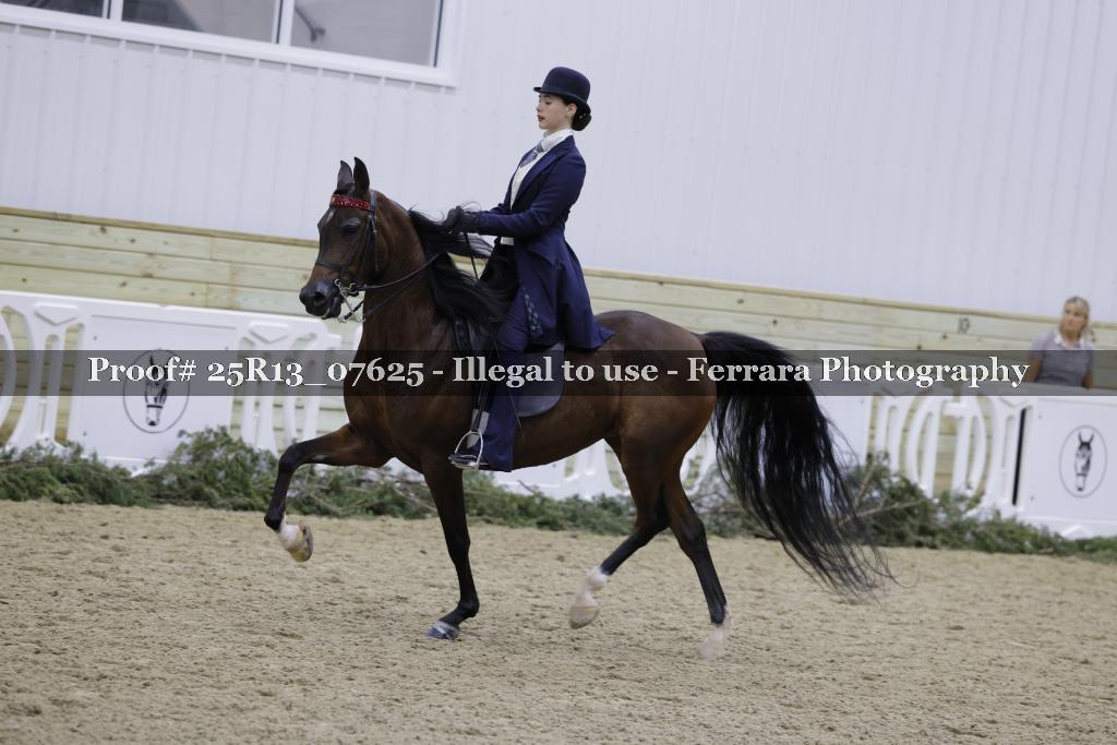 Proof 25R13_07625