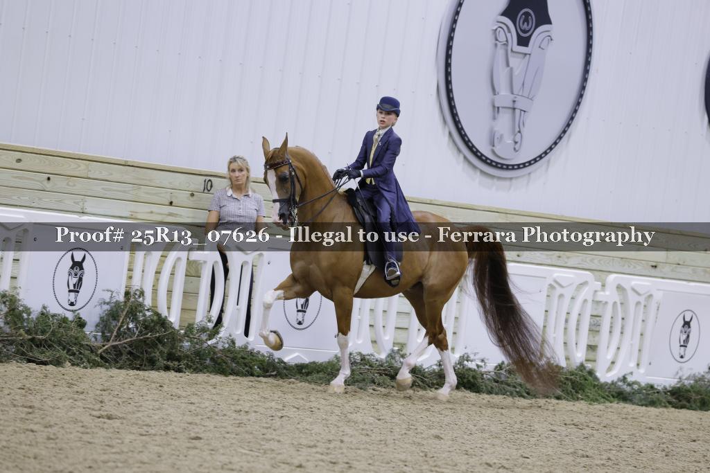 Proof 25R13_07626