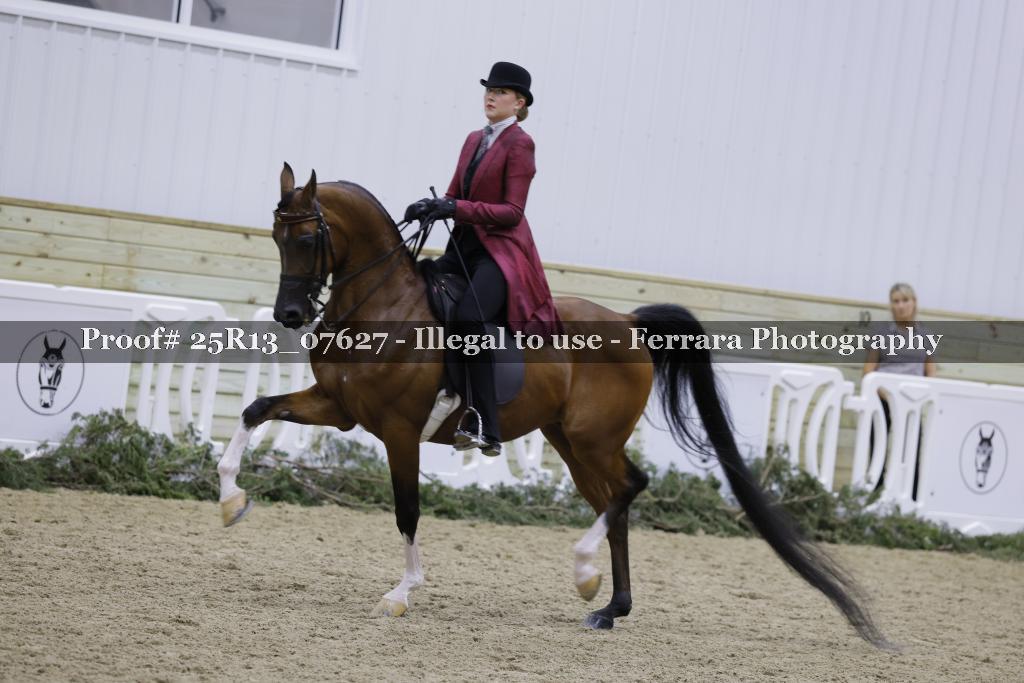 Proof 25R13_07627