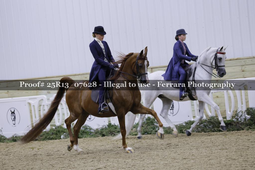 Proof 25R13_07628
