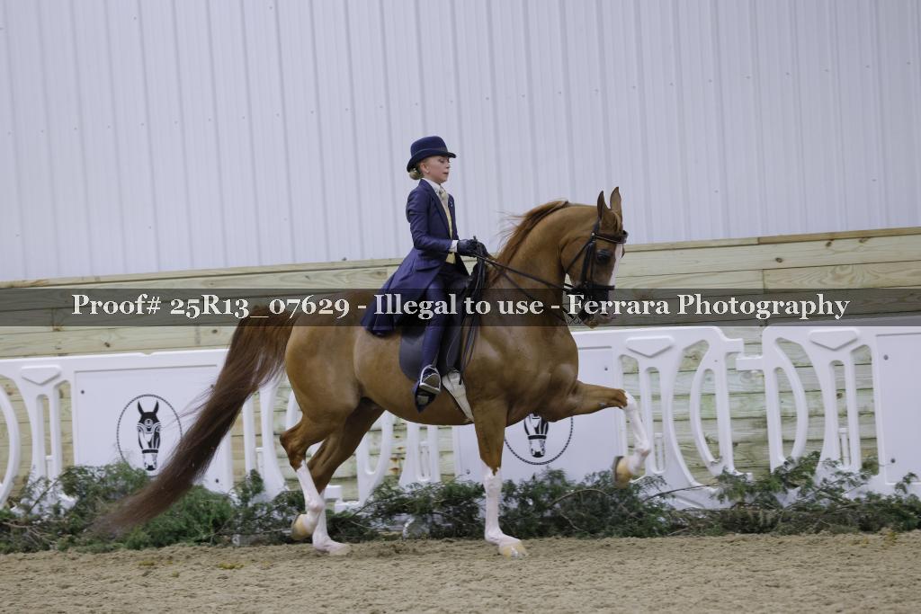 Proof 25R13_07629