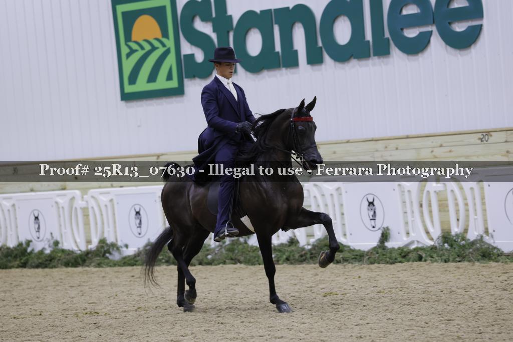 Proof 25R13_07630