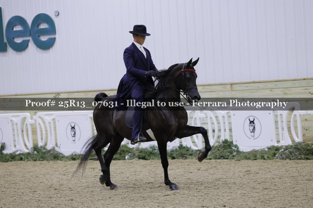 Proof 25R13_07631