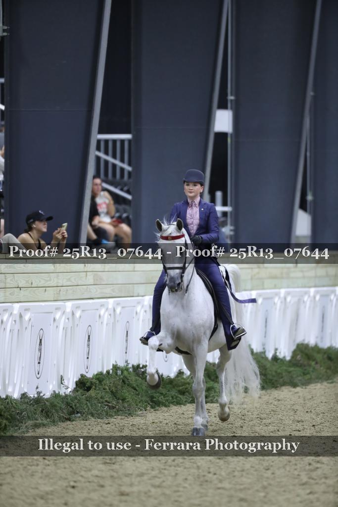 Proof 25R13_07644