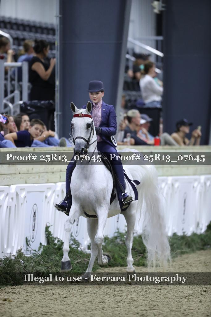 Proof 25R13_07645