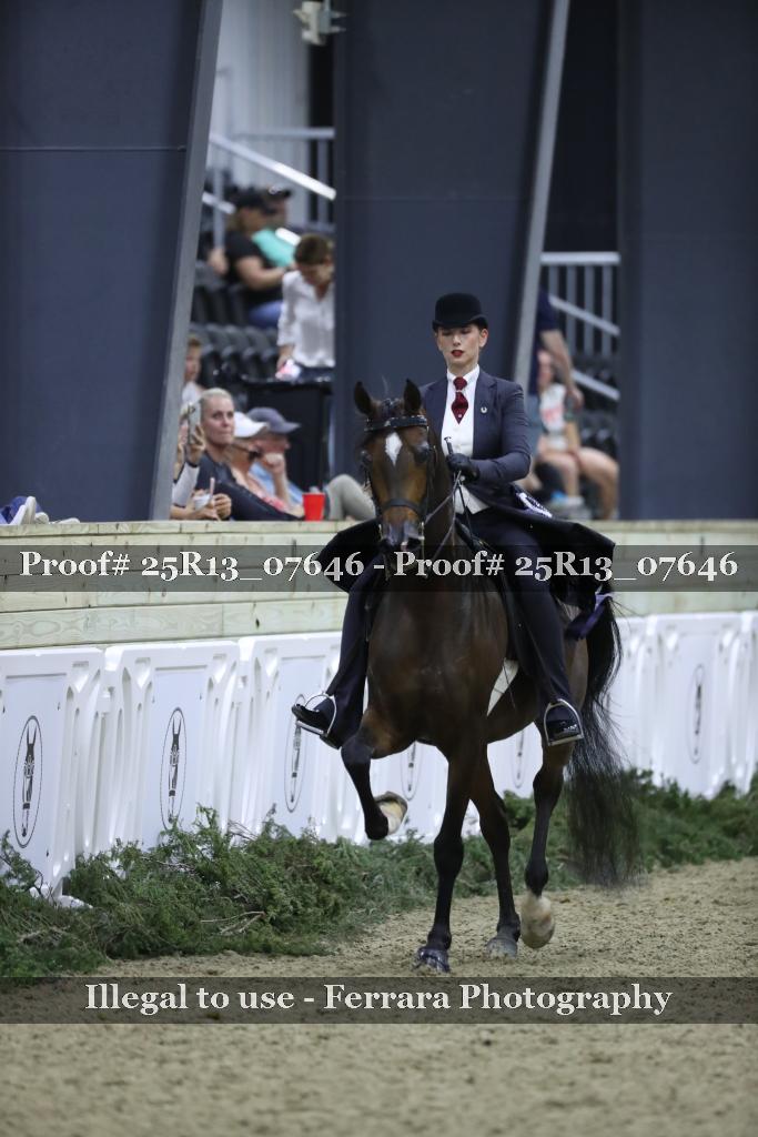 Proof 25R13_07646