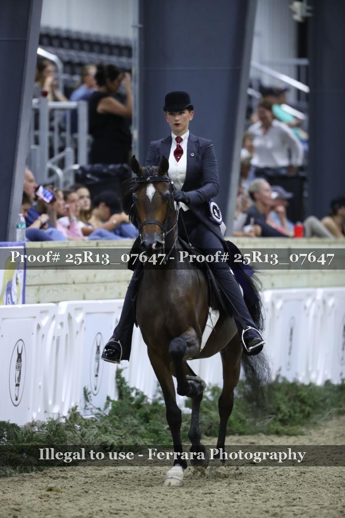 Proof 25R13_07647