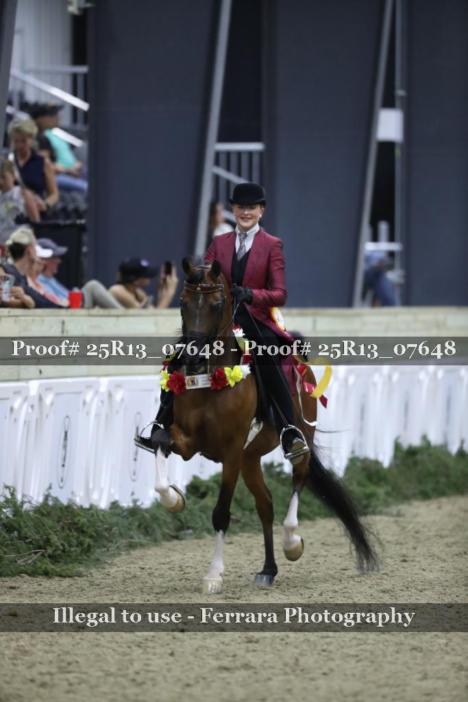 Proof 25R13_07648