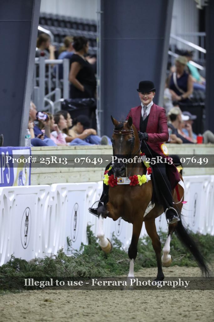 Proof 25R13_07649