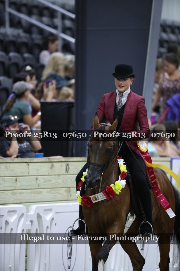 Proof 25R13_07650