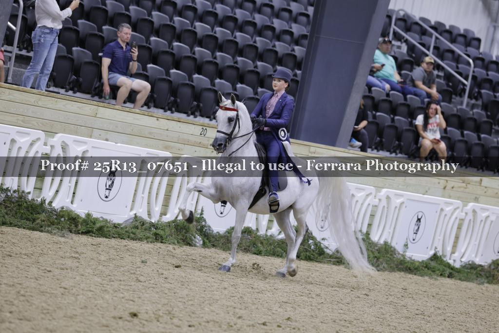 Proof 25R13_07651