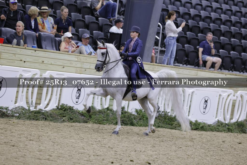 Proof 25R13_07652