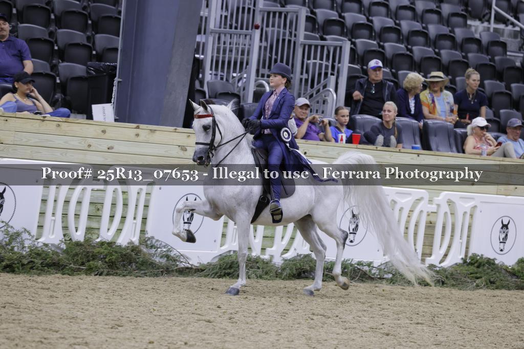 Proof 25R13_07653